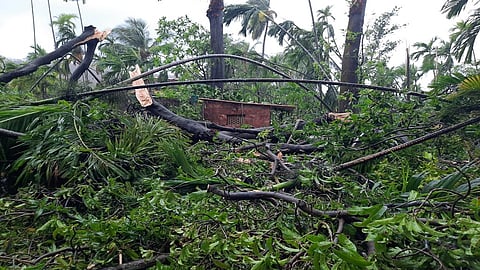 subsistence deprived of nature hurricanes in ratnagiri
