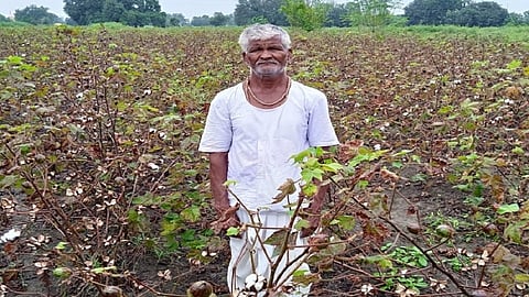 गेवराई:  एक लाख हेक्टरवरील पिकांचे नुकसान