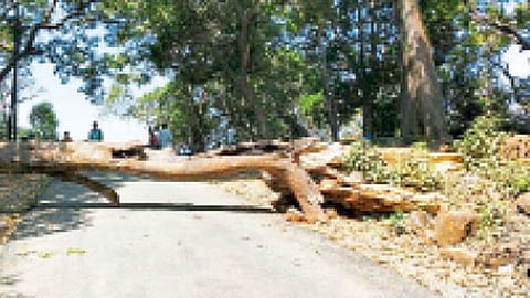 गावांमध्ये "नो एंट्री'; प्रवेशद्वारांचे रस्ते दगड, फांद्या टाकून बंद