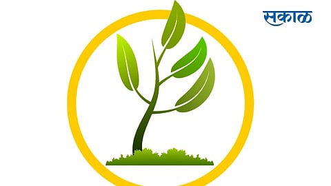 Oxygen Park Is Being Built In Rukdi Kolhapur Marathi News