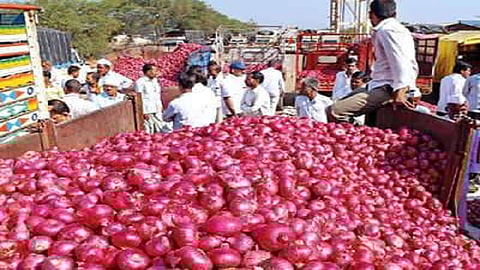onion.jpg