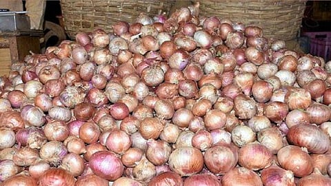 onion (1).jpg