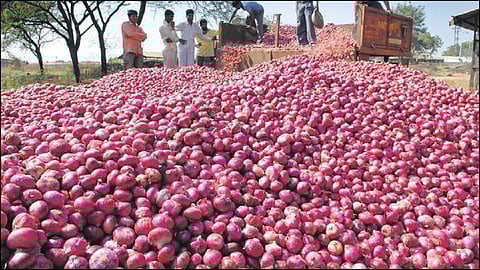 onion market.jpg