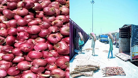 onions.jpeg