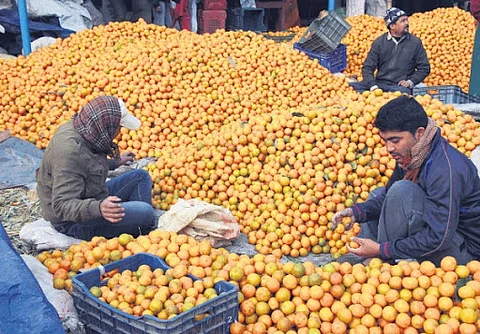 Red signal to orange exports to Bangladesh