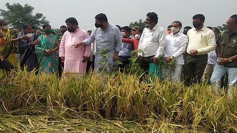 महाबळेश्वरातील शेतकऱ्यांना वेगळ्या निकषाची गरज नाही : दरेकर