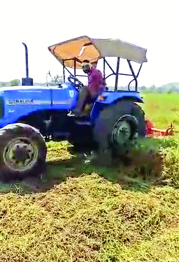 पचखेडी ः सरपंच दिनेश पडोळे यांच्या शेतातील हरभऱ्याच्या पिकात चालवत असलेले "रोटावेटर'.