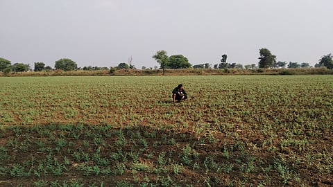 जमिनीवरील अतिक्रमणाबाबत वीरजवानाचे कुटुंबीय थेट मुख्यमंत्र्यांकडे