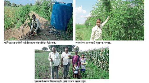 फळबागा, मिश्रपिके, सिंचनासह शेती केली किफायतशीर