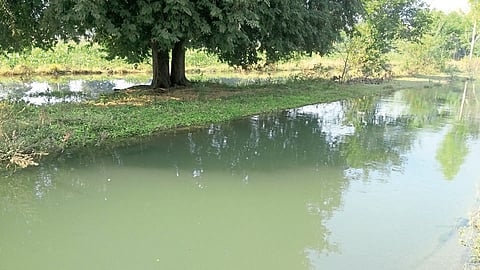 धोम कालव्याच्या गळतीमुळे 40 एकरांतील पिकांवर पाणी; खर्शी, सायगाव, महामुलकरवाडीतील शेतकऱ्यांचे मोठे नुकसान