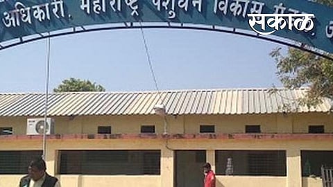 Akola Political News BJP and Prahar thwarted the move of Livestock Development Board