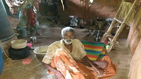 wnkya lambor Cattle service story in samgmeshwar ratnagiri