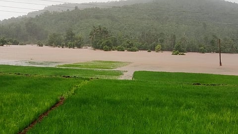 highest record of rain mandangad in ratnagiri