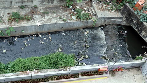 नदीप्रदूषण उद्योगांना भोवले