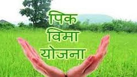 PM crop insurance scheme latest marathi news