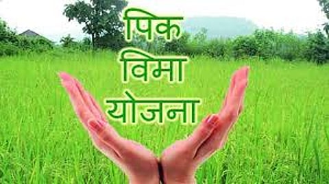 Pik Vima yojna News