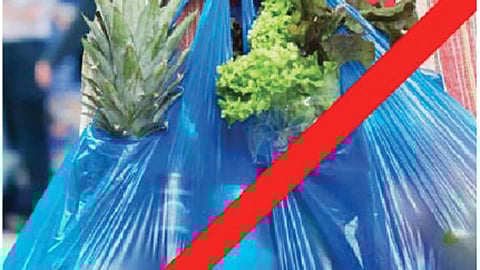 प्लॅस्टिकबंदी अंमलबजावणीसाठी ३२ पथके