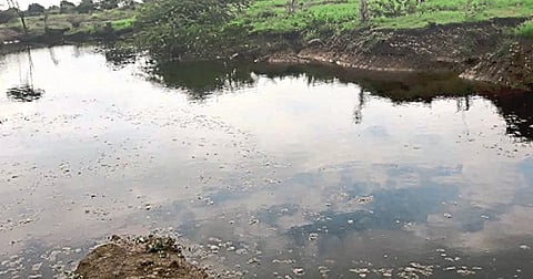 Pollution control board sending only notice; not action; disclosed in RTI