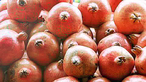 डाळिंबाच्या दरात मंदीचा कल