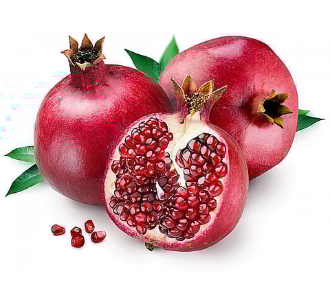 pomogranate
