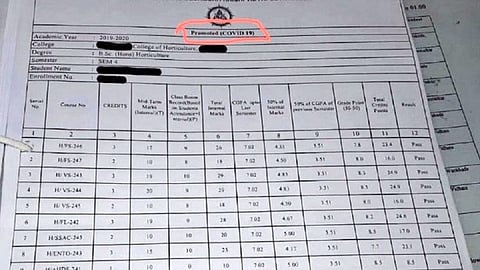 विद्यार्थ्यांच्या मार्कशीटवर थेट मारला 'PROMOTED (COVID-19)' चा शिक्का, आता मंत्रीमहोदय म्हणतात...