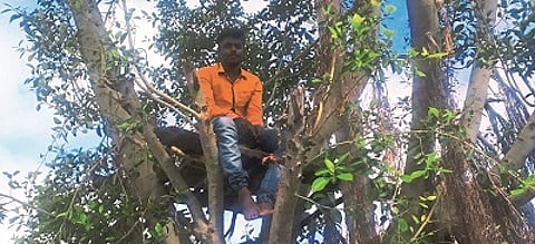 The young man from Ghanand was quarantined on tree