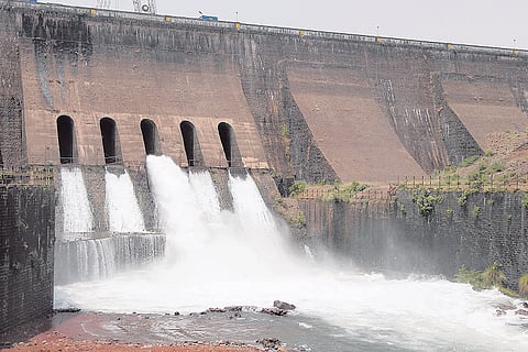Radhanagari dam included in "drip" scheme