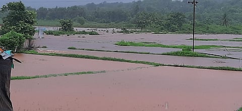 Heavy rain with strong winds in ratnagiri district
