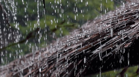 Rain Updates in Maharashtra | Weather Forecast