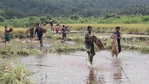 Ratnagiri Rain Update