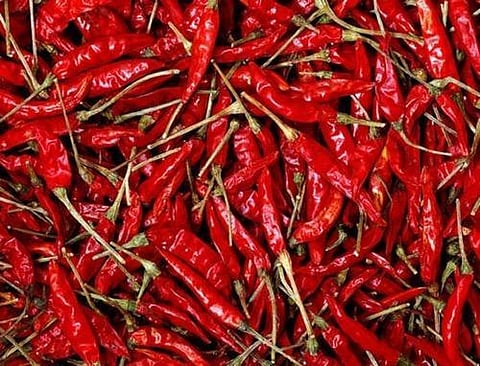red chilli.