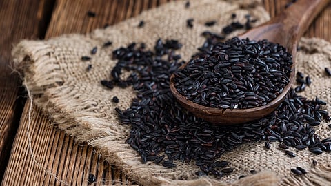 check how black rice production increases the economy of farming in sindhudurg its help as a medical