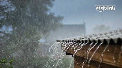 heavy rain fell in Sangameshwar taluka from 3 am kokan marathi news