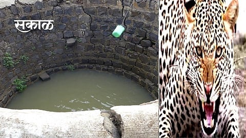 sakal - 2021-02-26T103223.725.jpg