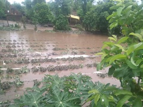 satgaon ajintha heavy rain