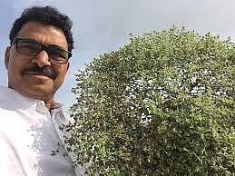 Plant a Vitthal tree in front of the house to commemorate Wari