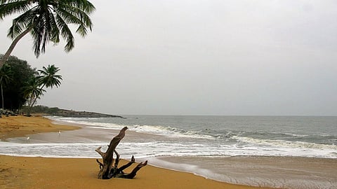 new actors in konkan start a new project of divyang in villages of konkan area in ratnagiri