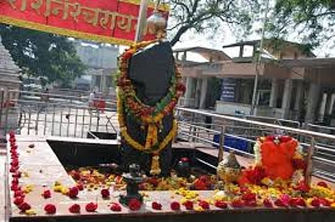 Welcome to Kawad Yatra in Shinganapur but both devotees