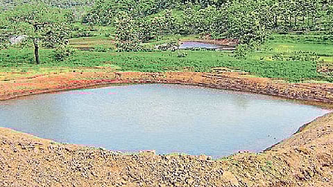 The collective farm pond grant is not even after ten months