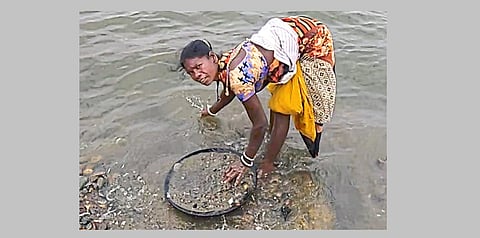 The mother seeks bread from the ashes of the corpse read full story