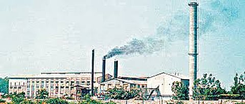 sugar factory.jpg