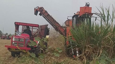 sugarcane machine
