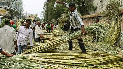 Tomorrow's meeting in Kolhapur for sugarcane rate