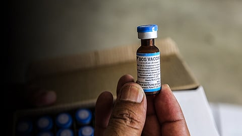 संशोधनातून आली नवीन माहिती समोर, TB ची लस करते कोविड संक्रमण आणि कोविडमुळे होणाऱ्या मृत्यूंचं प्रमाण कमी...