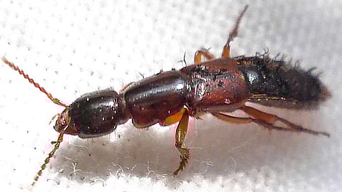 Take care of children on rainy days