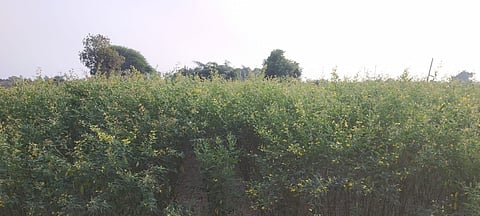 meteorological department has warned of unseasonal rains from tomorrow