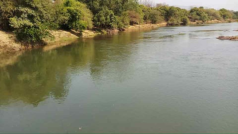 The initiative of the Whatsapp Group to field upgrading in Ulhas River in Nerul