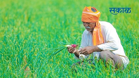 unseasonal rains.jpg