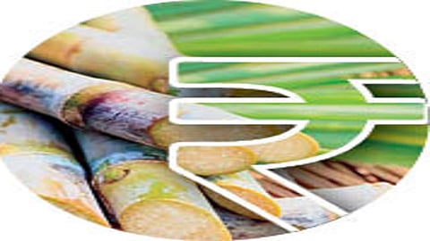 19th Sugarcane Conference of Swabhimani Shetkari Sanghatana