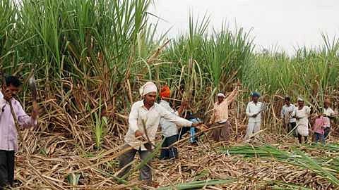 Lead of Ambalika factory in sugarcane crushing